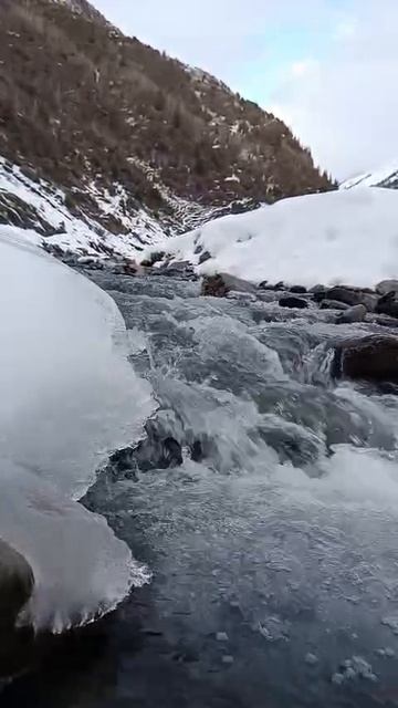 Дидоисточник смотреть онлайн