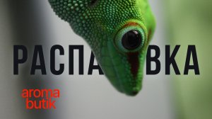 Тот самый “Hedonistic”: распаковка и впечатления в деталях — разбор аромата без воды 😄