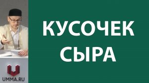 Оскорбления