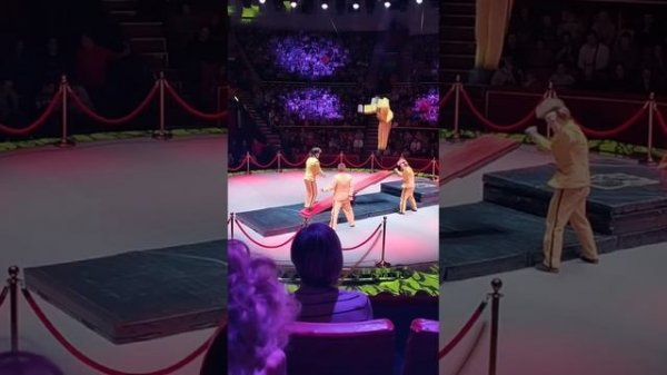 Классные акробаты в шоу воды огня света Брянский цирк