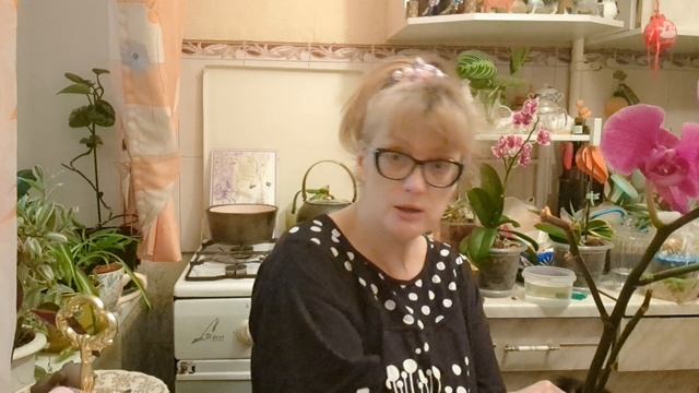 🖋️🚀ВСЕМ СПАСИБО ,ТАКОЕ ДОБРОЕ НАЧАЛО💃🔥 МОИ БУДНИ 🚀🖋️ смотреть онлайн