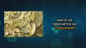 Это важно! Как лавровый лист влияет на печень, сахар и ?