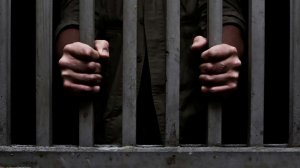 🔴В Питере ректора вуза отправят на скамью подсудимых за незаконную легализацию 501 мигранта🔴