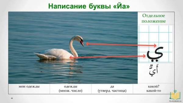 АРАБСКИЙ АЛФАВИТ (4). Буквы Waw и Йа