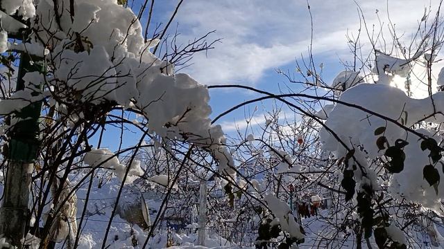 Снежок милый мой дружок смотреть онлайн