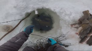 Рыбалка у чёрной дыры. Ловля налима. Тридцать пятая серия.