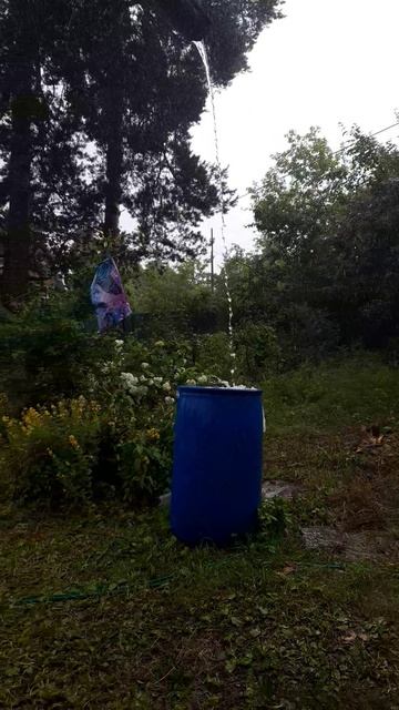 Ливень в Пушкино смотреть онлайн