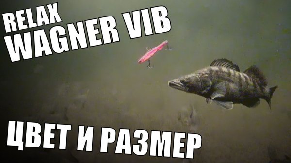 ВАГНЕР ВИБ. КАК ВЫБРАТЬ ЦВЕТ И РАЗМЕР?