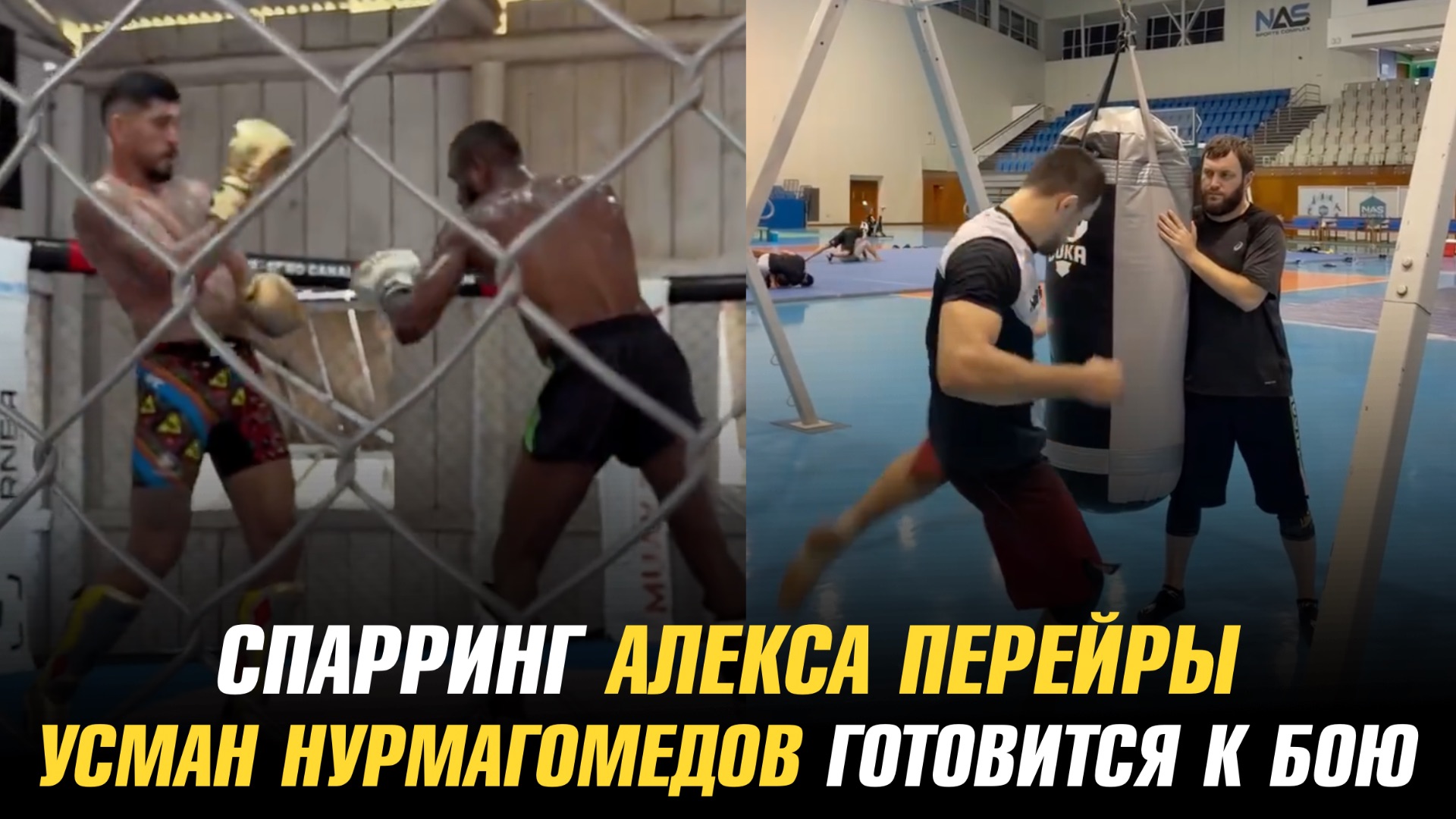 Новый спарринг Алекса Перейры / Усман Нурмагомедов готовится к бою против Алфи Дэвиса смотреть онлайн