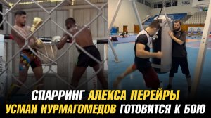 Новый спарринг Алекса Перейры / Усман Нурмагомедов готовится к бою против Алфи Дэвиса
