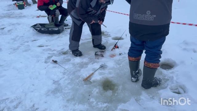 1000138461.mp4 смотреть онлайн