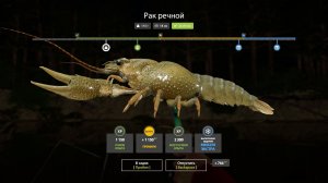 Русская Рыбалка 4-Новогодние Экстра Задания 2026: Рак речной р. Вьюнок