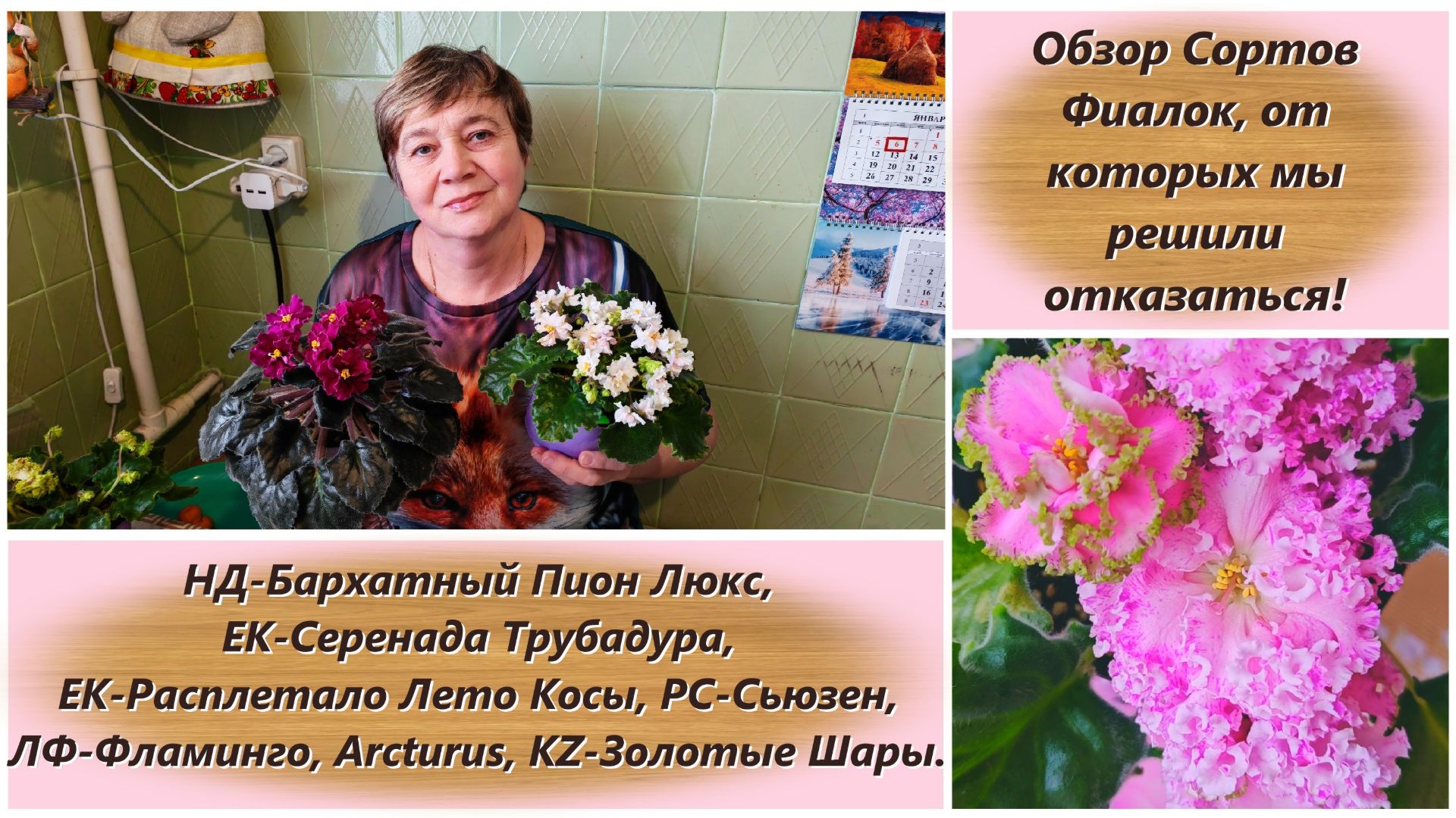 Обзор Сортов Фиалок, от которых мы решили отказаться!