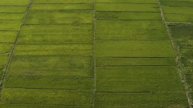 SHILLA MONOGRAM QUANGNAM DANANG RESORT 5* | 316000.ru - лучшие цены на Ваши путешествия! смотреть онлайн