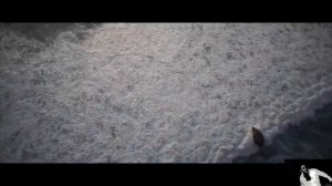 Valik - Сколько раз надо тебя целовать #песня #музыка #music