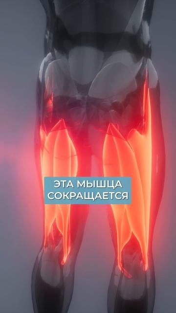 ПРОВЕРЬТЕ себя на эту ПРОБЛЕМУ с мышцами! #здоровье #походка #мышцы смотреть онлайн