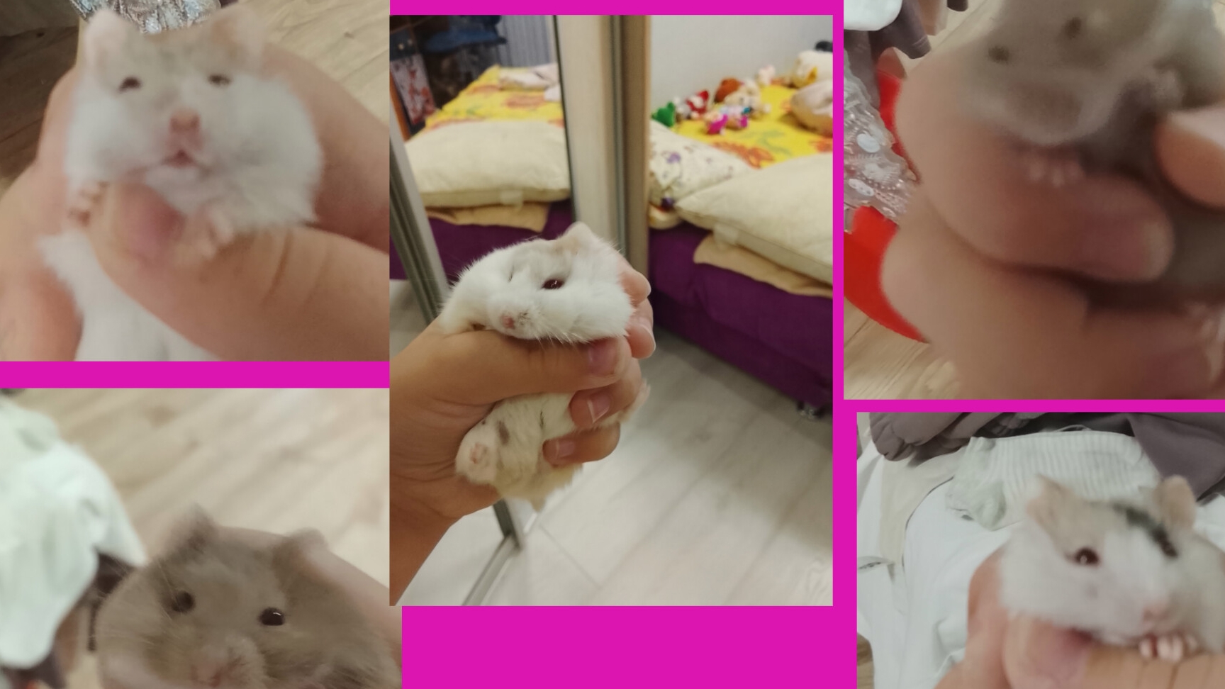 Дети Марии Борисовны устроили хаос в доме 🌪️ Лиля с хомяками 🐹🐹