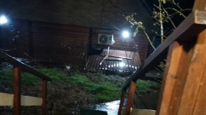 СОЧИ ГОРНОЕ ЛОО УТРО 12.01.2026