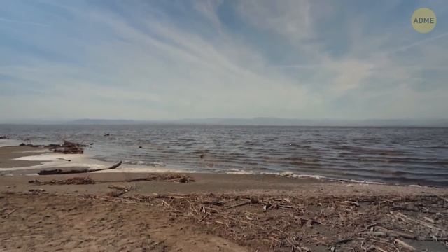 Калифорния годами недооценивала этот регион смотреть онлайн