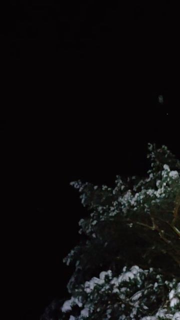 Зимний сплав по Илети в январе 2026 года. смотреть онлайн