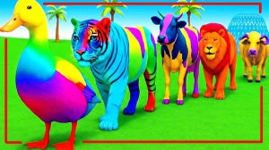 Мультики для детей. Животные: утка, лев и мамонт. Смотреть онлайн Мультики про животных.