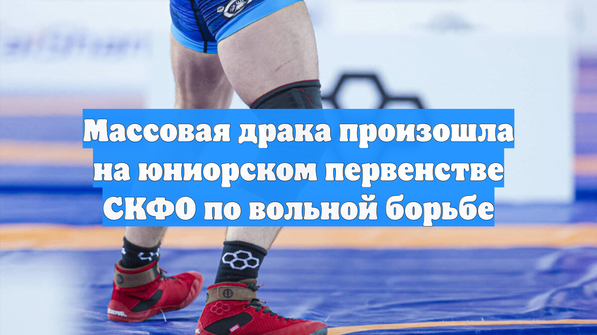 Массовая драка произошла на юниорском первенстве СКФО по вольной борьбе смотреть онлайн