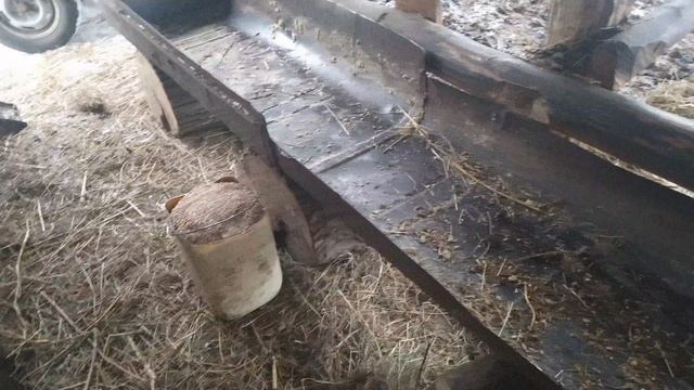 Как хранится пюре картофельное в мооозы