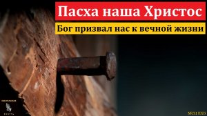 "Пасха наша Христос". П. А. Мещерин. МСЦ ЕХБ