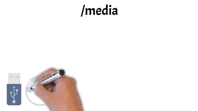 Linux File System Structure Explained: From / to /usr | Linux Basics смотреть онлайн