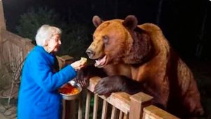 BRAIN TIME.  КОГДА ЖИВОТНЫЕ САМИ ВЫБИРАЮТ СЕБЕ ХОЗЯЕВ. САМЫЕ ЗАБАВНЫЕ ВИДЕО 2025