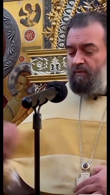 А.Ткачев о женщинах. смотреть онлайн