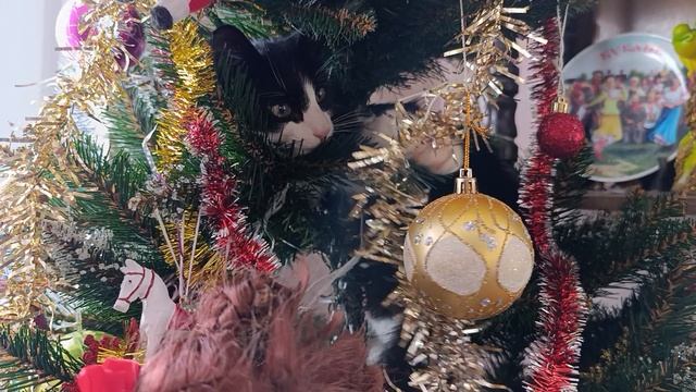 А нам всё равно смотреть онлайн