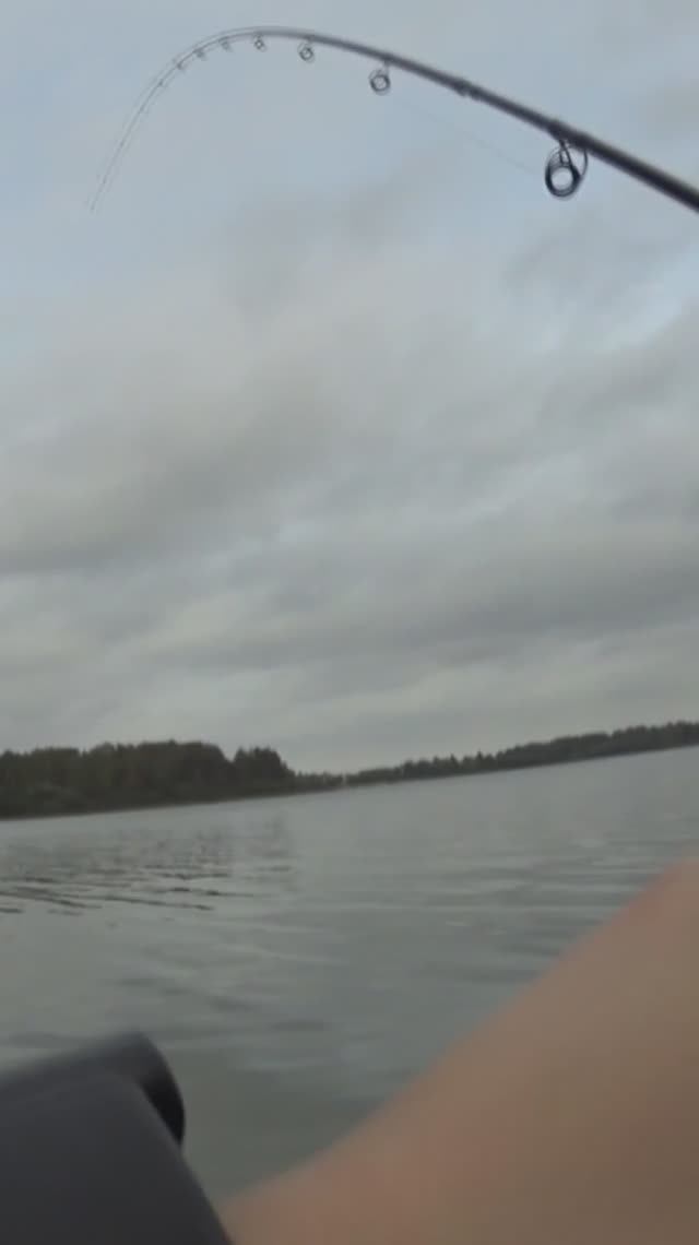 Фидер с лодки, лещ есть.