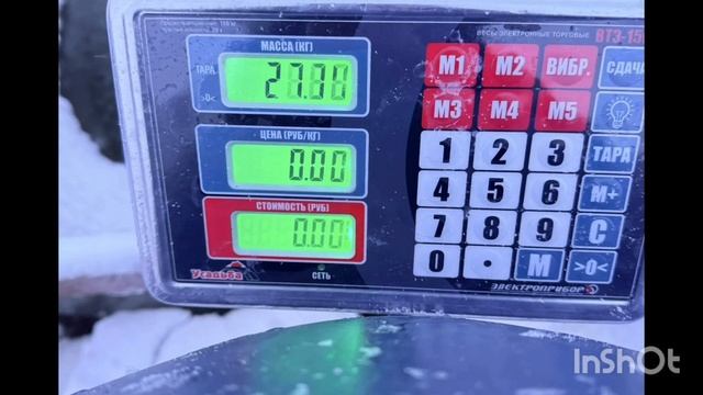 1000138449.mp4 смотреть онлайн