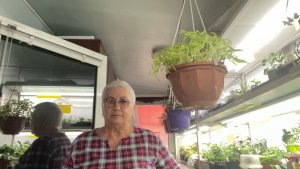 Посевной Лунный календарь на февраль месяц 26 г. План посева цветов и овощей на февраль месяц 2026 г