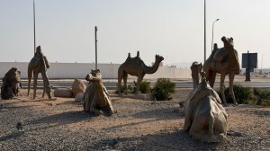 Небольшая экскурсия по  Шарм-эль-Шейху.  Январь 2026 г.