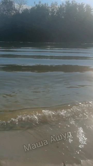 Всё не случайно в этом мире