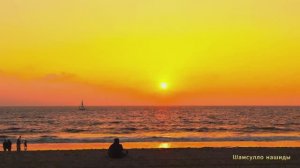 #Коран#аль-Имран#СамыеКрасивыеМеста#Отдых##Ислам#Коран#аль-Имран'#Миншавий #4кВидео#17часть#