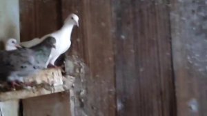 11.01.2026г В Гостях у Камо Варданян и Его Семьи!!!