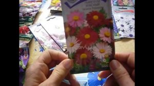 2127.  Какие цветы можно посеять в январе,феврале?