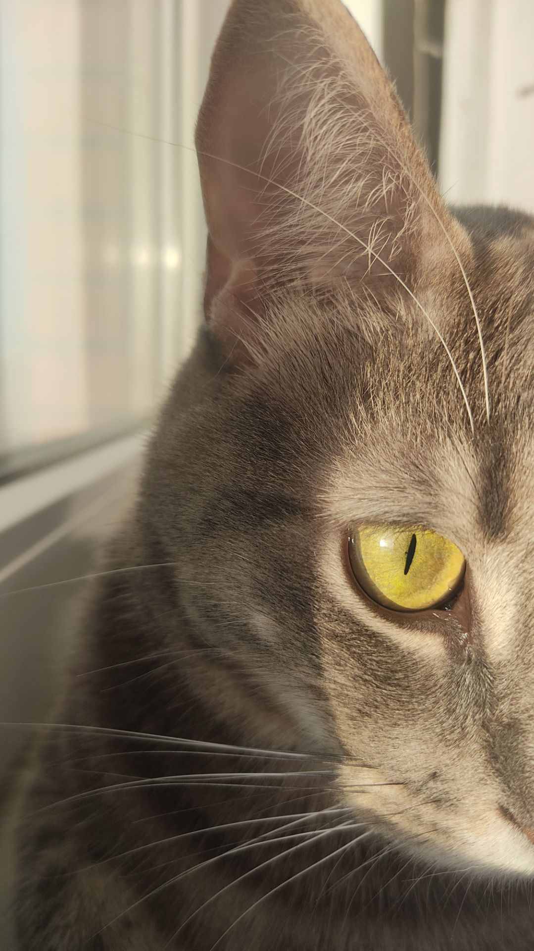 Ваня рассказывает про себя.