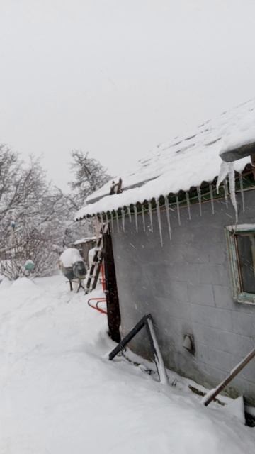 Что творится на Кубани? Природа сошла с ума!