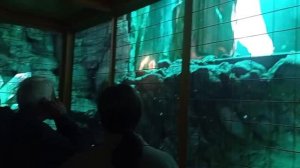 🌄В гости к Хозяйке Медной горы.🌄 Урал🌄