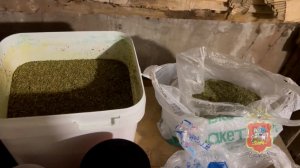 В Подмосковье задержан местный житель, подозреваемый в сбыте конопли