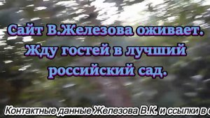 Сайт В.Железова оживает. Жду гостей в лучший  российский сад.
