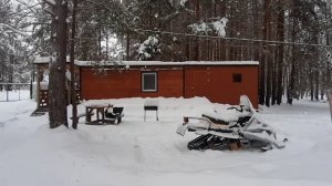живем в лесу/обзор домика/зимний лес