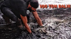 100 тонн рыбы / Самая рыбная река в мире /  Рыбалка / Необычный метод лова рыбы !