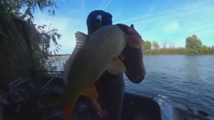 БЕШЕНЫЙ КЛЁВ САЗАНА и РАЗВЕДКА ПО ЩУКЕ. НА РЫБАЛКУ С РАЗВЕДКОЙ. День прошёл не зря.