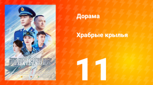 Храбрые крылья 11 серия