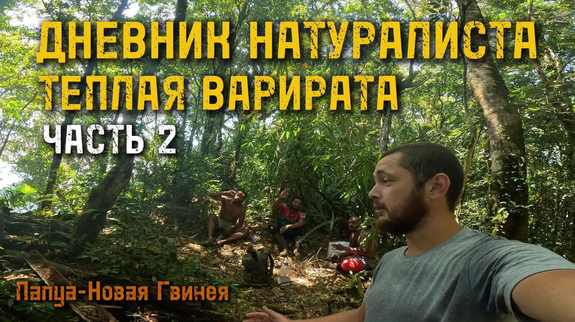 Дневник натуралиста I Теплая Варирата I Экспедиция в Папуа-Новую Гвинею. Часть 2